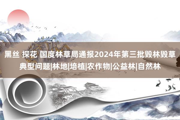 黑丝 探花 国度林草局通报2024年第三批毁林毁草典型问题|林地|培植|农作物|公益林|自然林